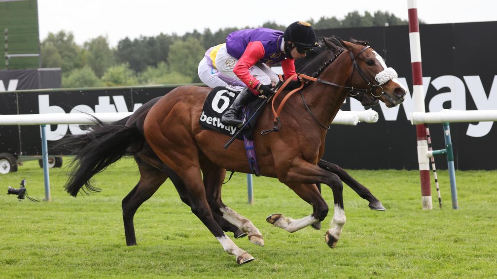 King's Lynn: cracking each-way bet in the Temple Stakes