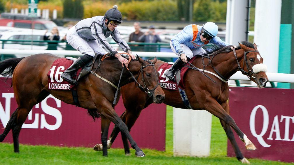 The Platinum Queen (far side): leading sprinter makes her first start for new connections