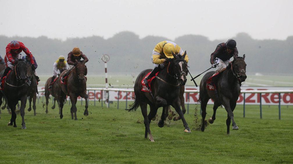 Quiet Reflection (second right) powers through the mud in the Sprint Cup at Haydock in 2016