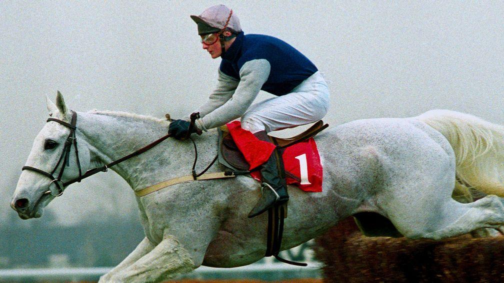 Desert Orchid, a great favourite with Wincanton racegoers, features in the book