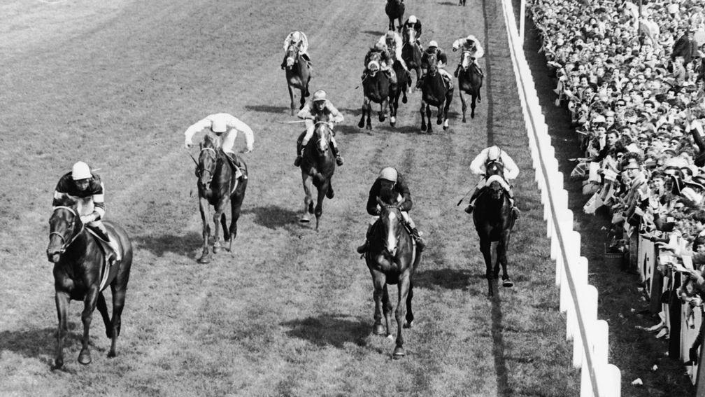 Piggott wins the 1968 Derby on Sir Ivor: 'The way he produced him with just hands and heels was incredible – the horse never knew he had a race'