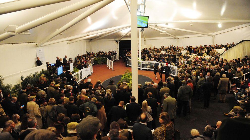 Tattersalls Cheltenham: the stage of the February Sale