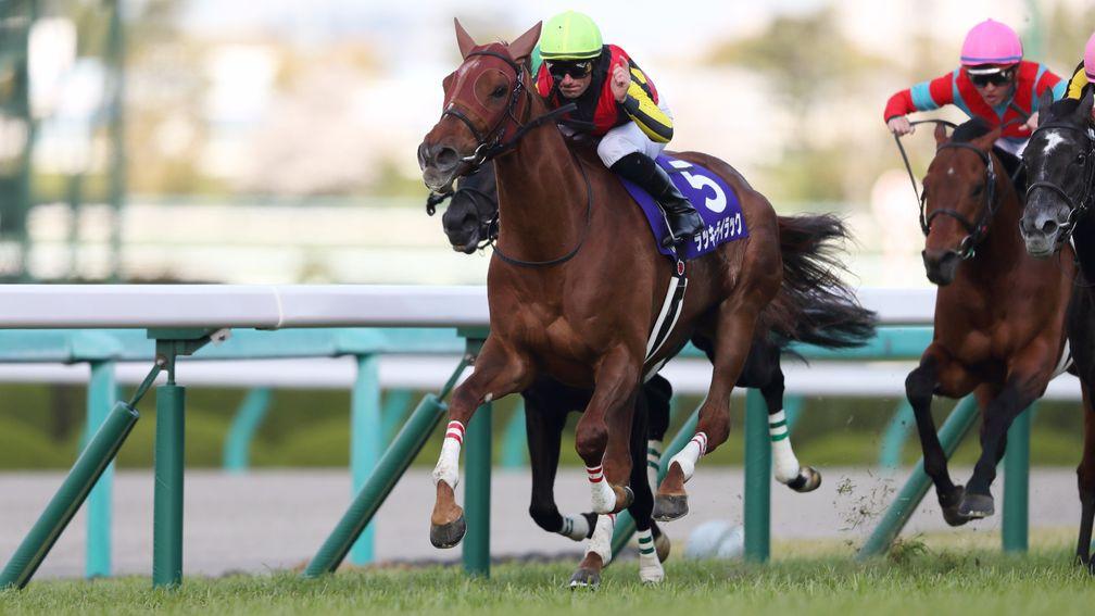 Lucky Lilac and Mirco Demuro hit the front on their way to victory in the G1 Osaka Hai at Hanshin