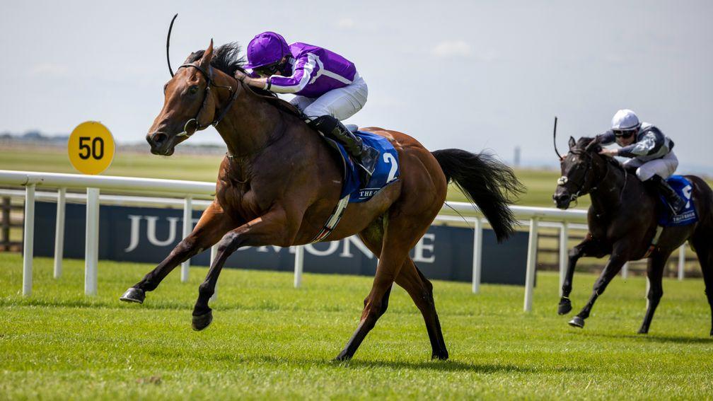 Little Big Bear puts up a commanding performance in the Anglesey Stakes