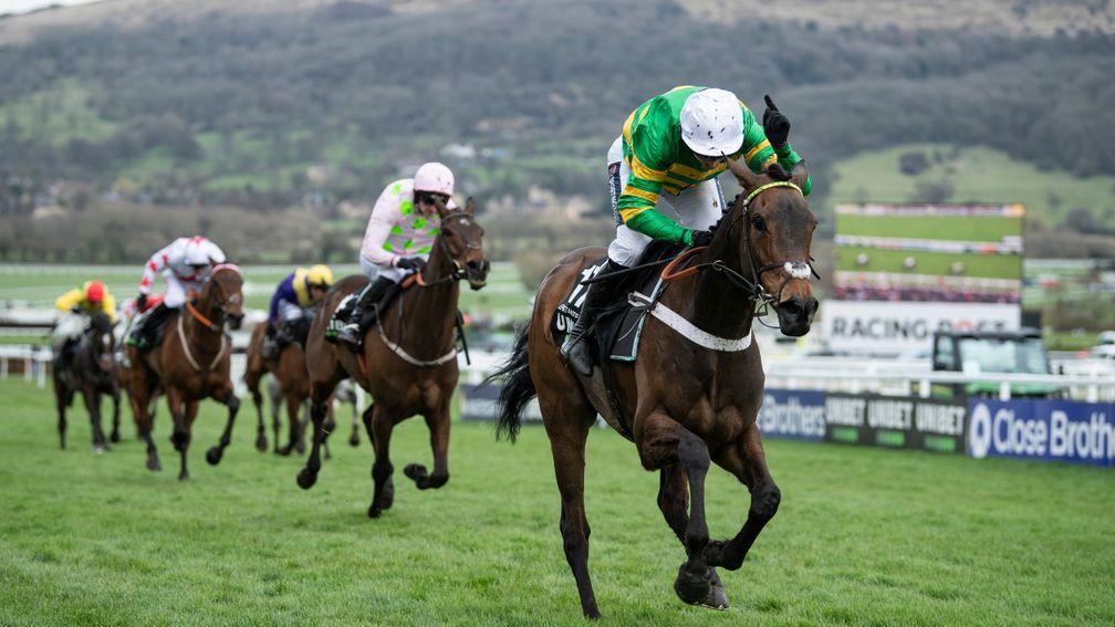 Epatante: (Barry Geraghty) wins the Champion Hurdle