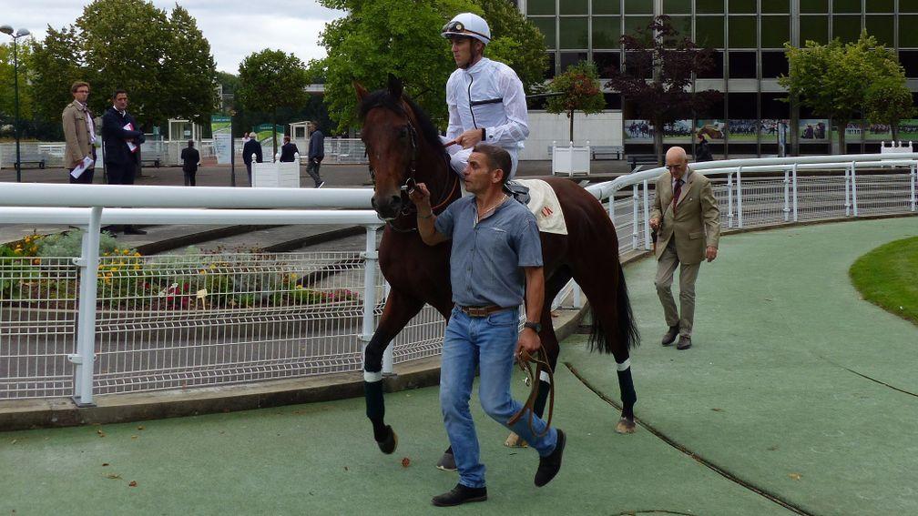 Zarak and Christophe Soumillon ahead of a racecourse gallop at Maisons-Laffitte on Tuesday. The son of Dubawi will skip Sunday's Prix Foy and head straight to the Arc on October 1