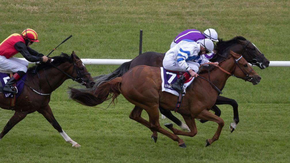 Ten Year Ticket (7) en route to Listed honours at Leopardstown this month