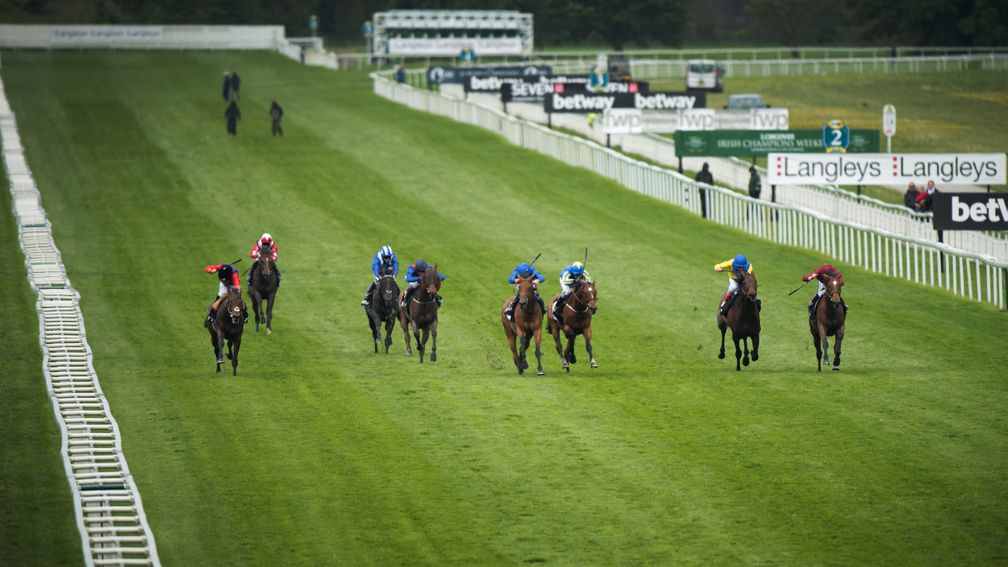 Royal battle: Dartmouth (left) owned by the Queen, chases down his Yorkshire Cup rivals under Ryan Moore
