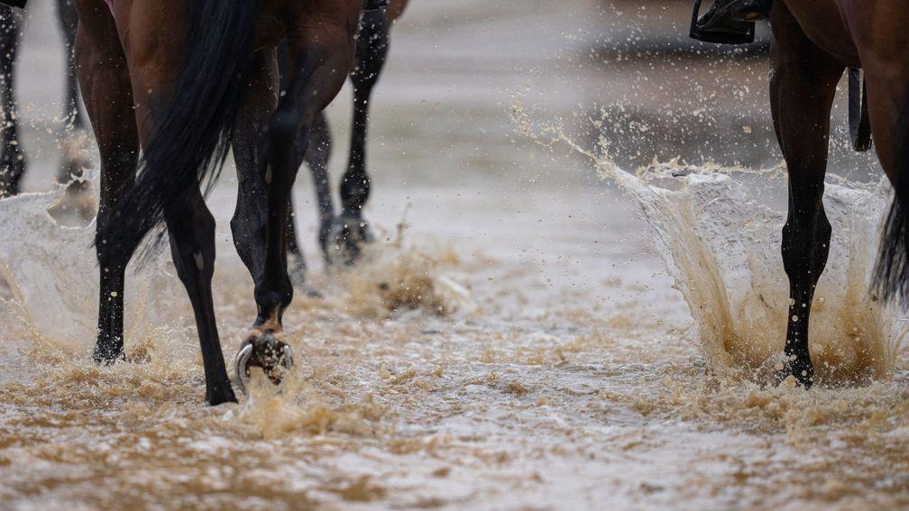 Racehorses walk through flooded water created by torrential rain at the bottom of Warren Hill gallopsNewmarket 25.8.22 Pic: Edward Whitaker