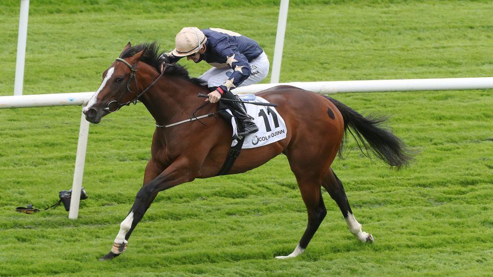 Champers Elysees goes up 16lb to 110 after her most impressive success in Tuesday's Corrib Fillies Stakes