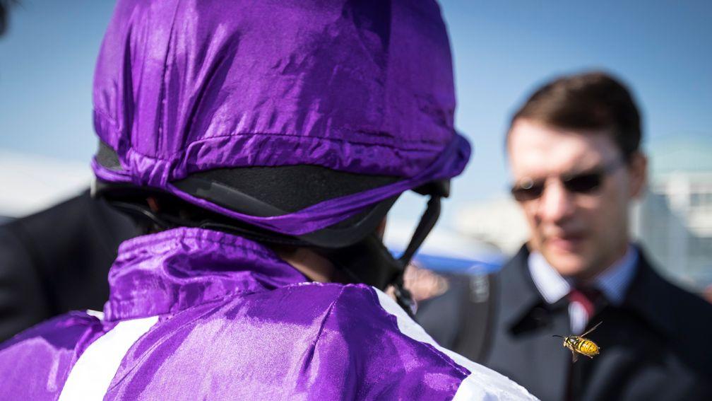 There was no sting in the tail for Minding after her easy victory, but the same may not have been true for Ryan Moore with a wasp about to alight on his shoulder