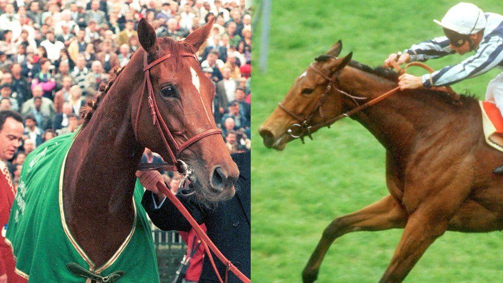 Dynamic duo: Urban Sea (left) and Miesque have both been in the news of late