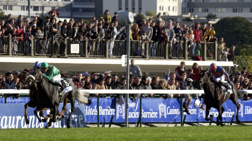 But for the brilliance of Dalakhani, six-year-old Mubtaker (far side, striped cap) would have been a wide-margin winner of the 2003 Prix de l'Arc de Triomphe