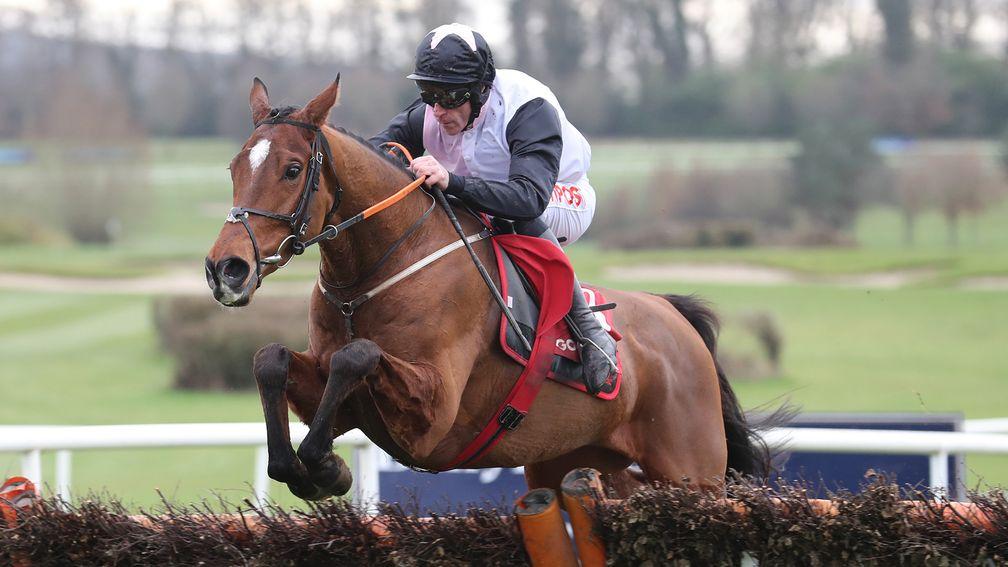 Teahupoo: well-fancied for Thursday's Ladbrokes Champion Stayers Hurdle at the Punchestown festival