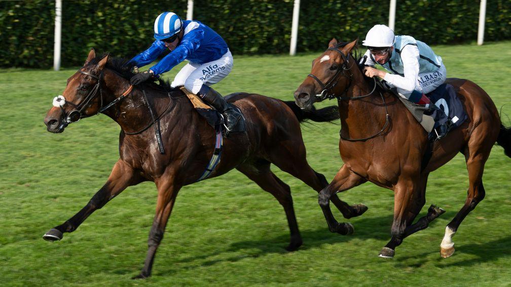 Tawaareq: could be well treated in the Esher Cup