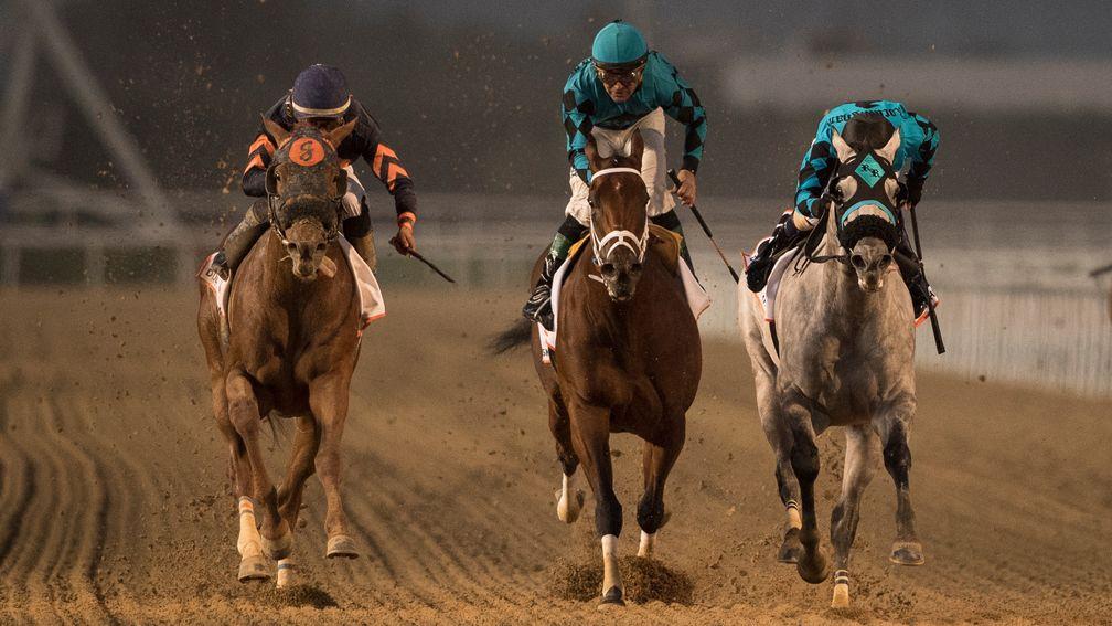 Mind Your Biscuits (left) beats Roy H (centre) and XY Jet (right)