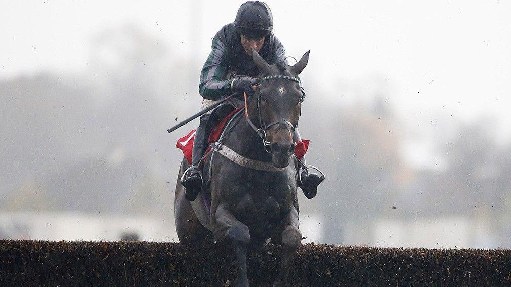 Noel Fehily partnered Altior to three victories in the winter of 2016