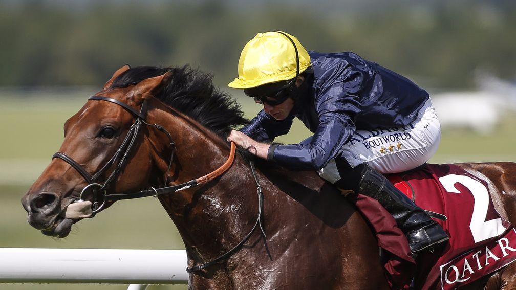 Crystal Ocean is a big hope for the Sir Michael Stoute stable this season