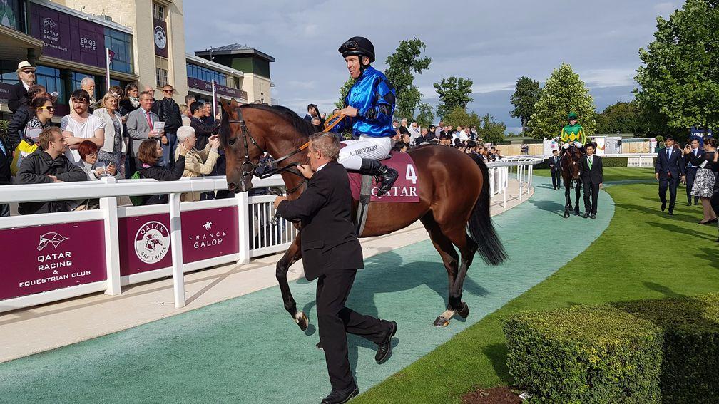 Dschingis Secret ahead of his Prix Foy win at Chantilly on Sunday (10/09/17 - pic Scott Burton from phone - don't blow it up !)
