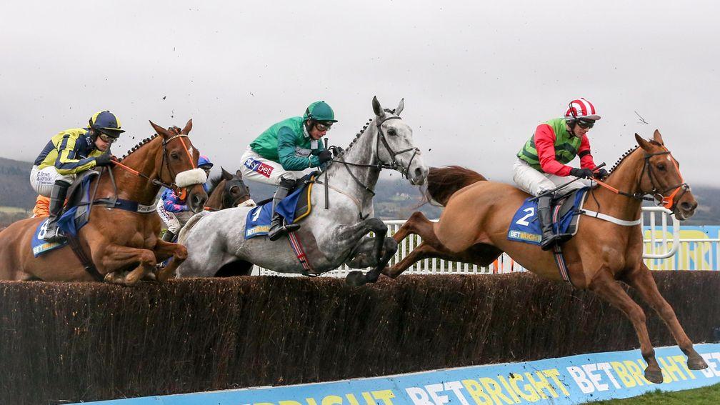 Bristol De Mai (grey horse, centre of picture) tracking Cotswold Chase winner Definitly Red at Cheltenham on Saturday