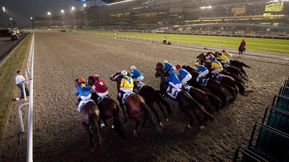 Runners break from the stalls at Meydan