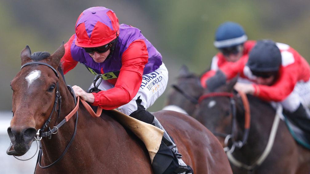 Convey: not involved in the finish to the Champions Mile