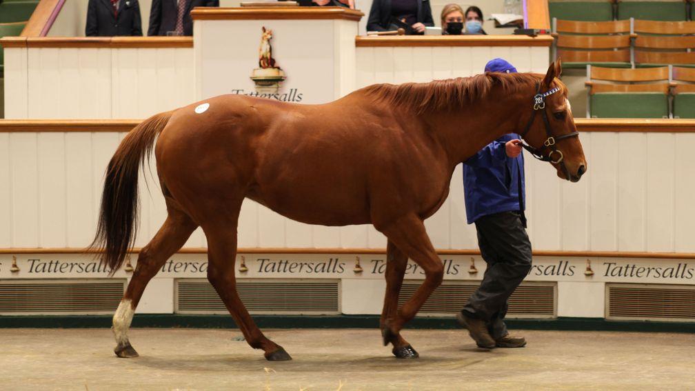 Lot 2,151: Ragsah sells for 130,000gns