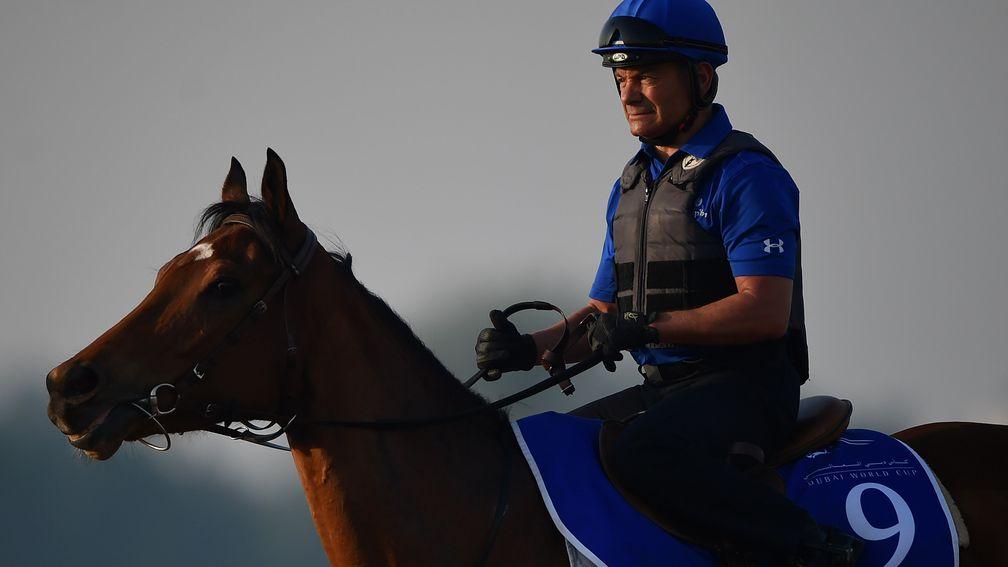 Andre Fabre and Godolphin have shown plenty of patience with five-year-old Rosa Imperial, who will be making just her eighth career start in the Prix Rothschild