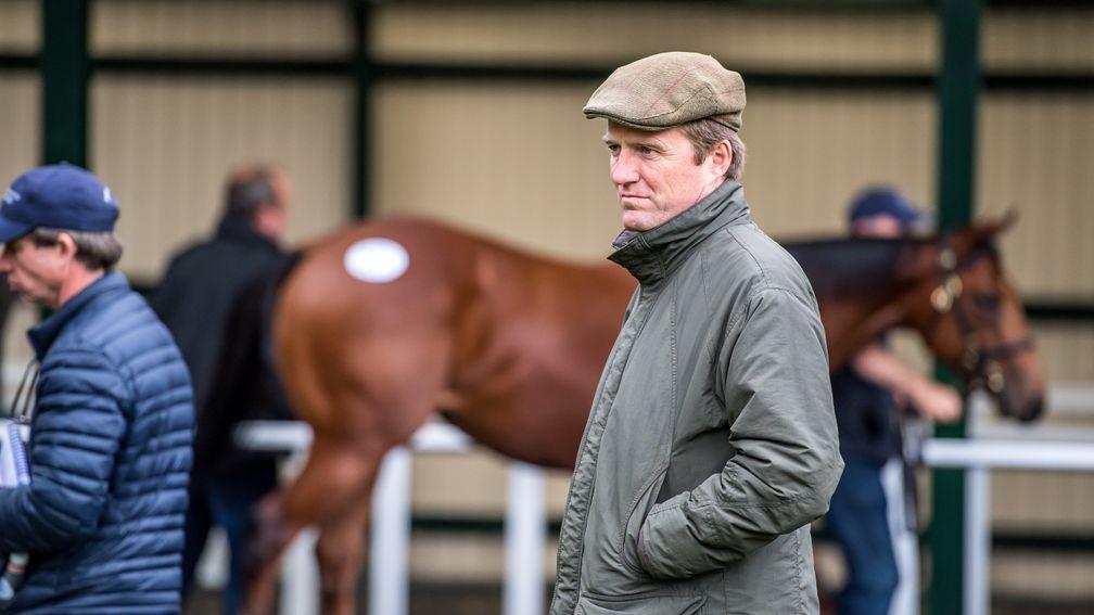 Ralph Beckett: 'Somebody was looking after us at the yearling sales'