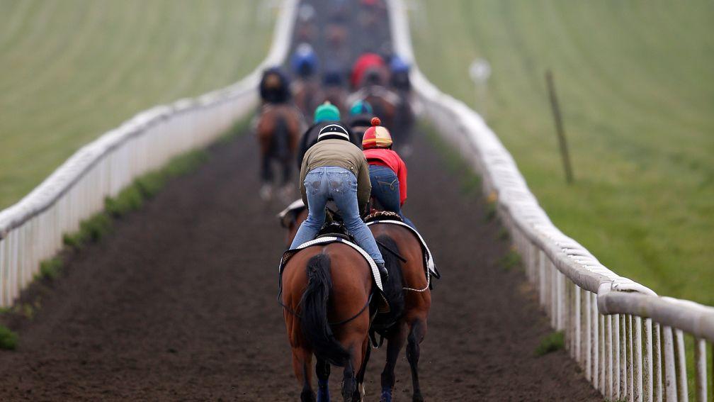 Training fees make up a sizeable chunk of a racehorse owner's bills, but there are also racing, veterinary and farrier's expenses which add to the cost