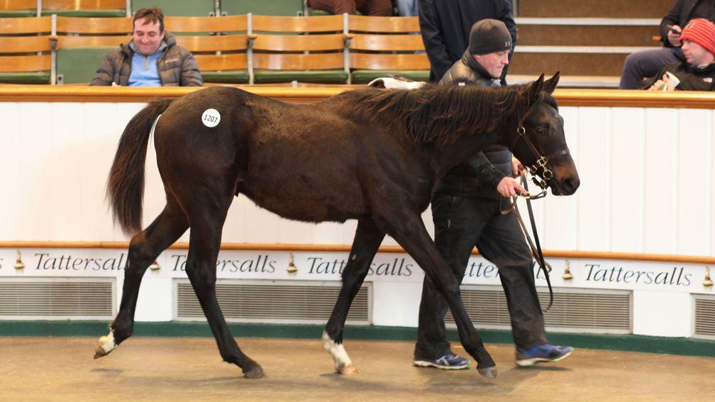 The No Nay Never colt out of Musically capped a strong week of sales for his sire when sold for 110,000gns