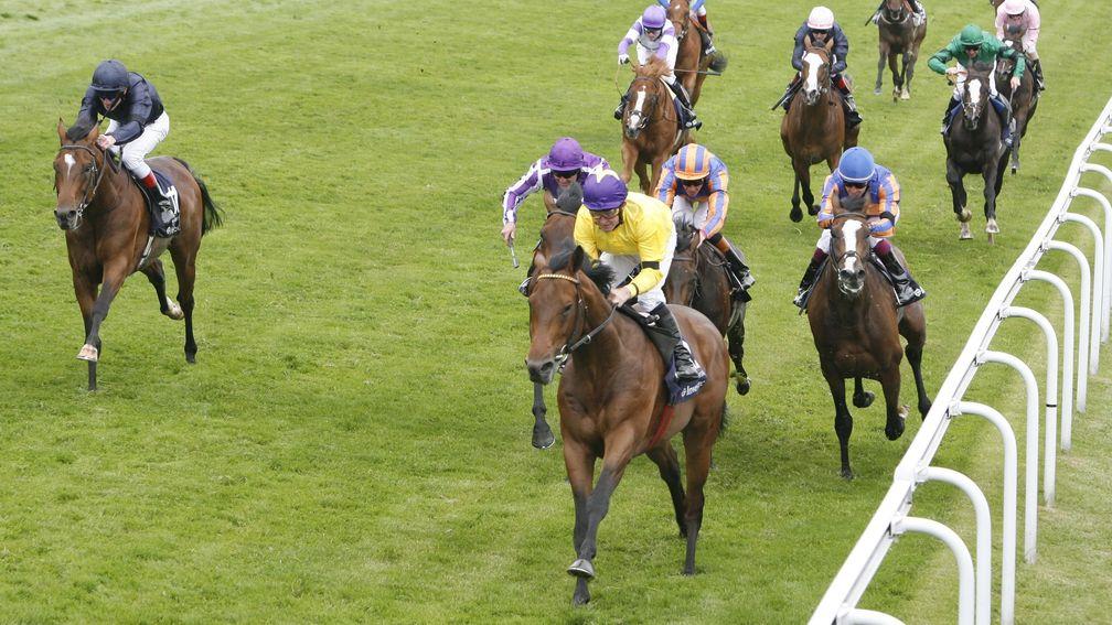 Sea The Stars wins the Derby from an army of Ballydoyle challengers: [L-R] Rip Van Winkle, Fame And Glory, Masterofthehorse and Golden Sword