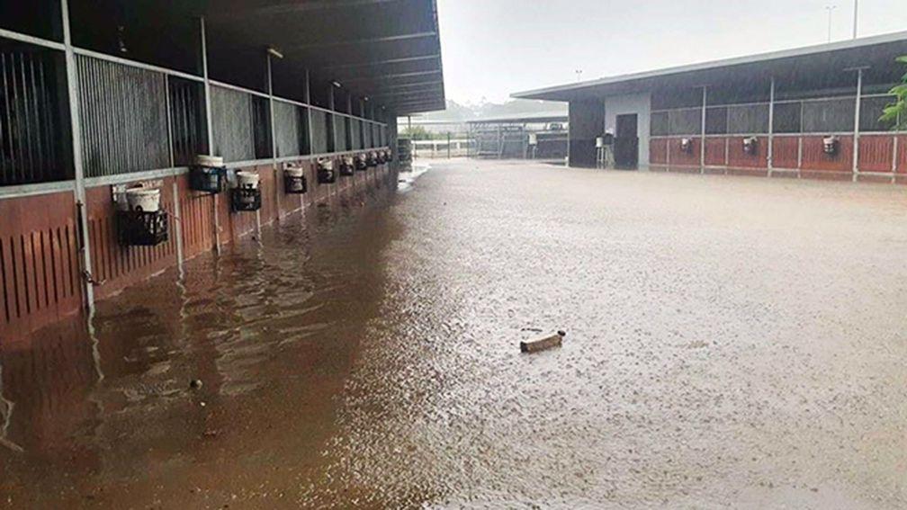 Robert Heathcote's flooded stables in Eagle Farm, Brisbane, Australia
