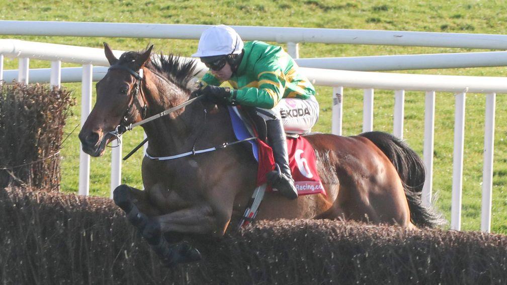 Fakir D'Oudairies: produced an excellent round of jumping in the Drinmore Novice Chase