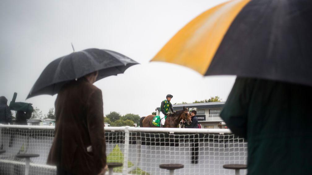 Astronomer returns to a rainy winner's enclosure after scoring impressively at last year's festival