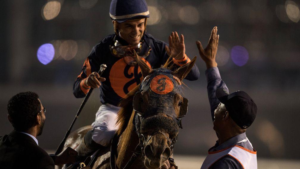 Happy days: Celebrations as Mind Your Biscuits wins the Golden Shaheen