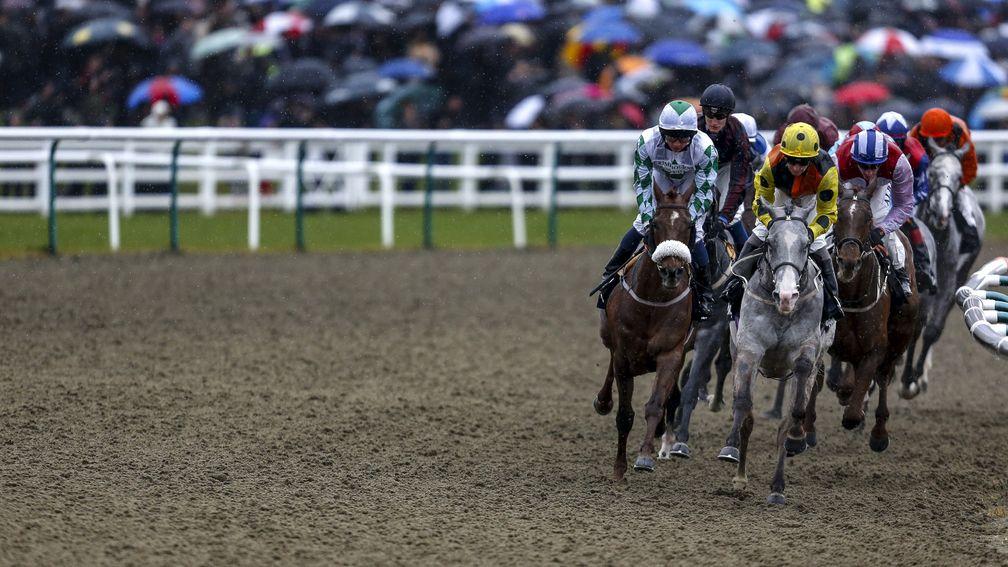 Lingfield: stage a card on Wednesday