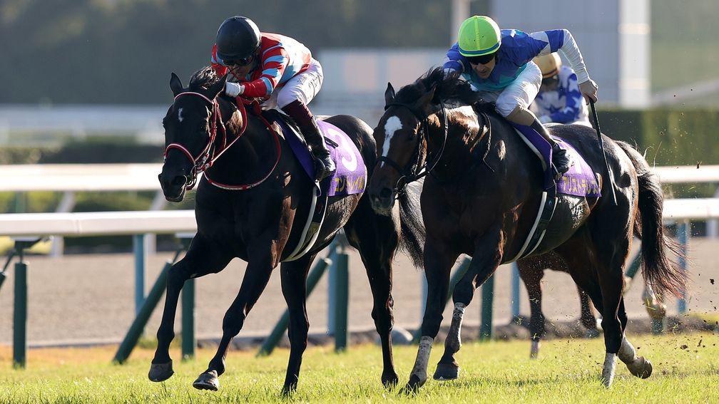 Contrail (black cap) was pushed harder than in any of his six previous starts when becoming Japan's third unbeaten Triple Crown colt last month