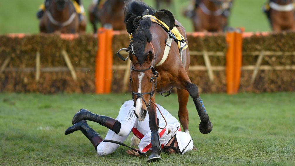 CHELTENHAM, ENGLAND - MARCH 13: Goshen ridden by J E Moore falls at the last fence during the JCB Triumph Hurdle (Grade 1) at Cheltenham Racecourse on March 13, 2020 in Cheltenham, England. (Photo by Dan Mullan/Getty Images)