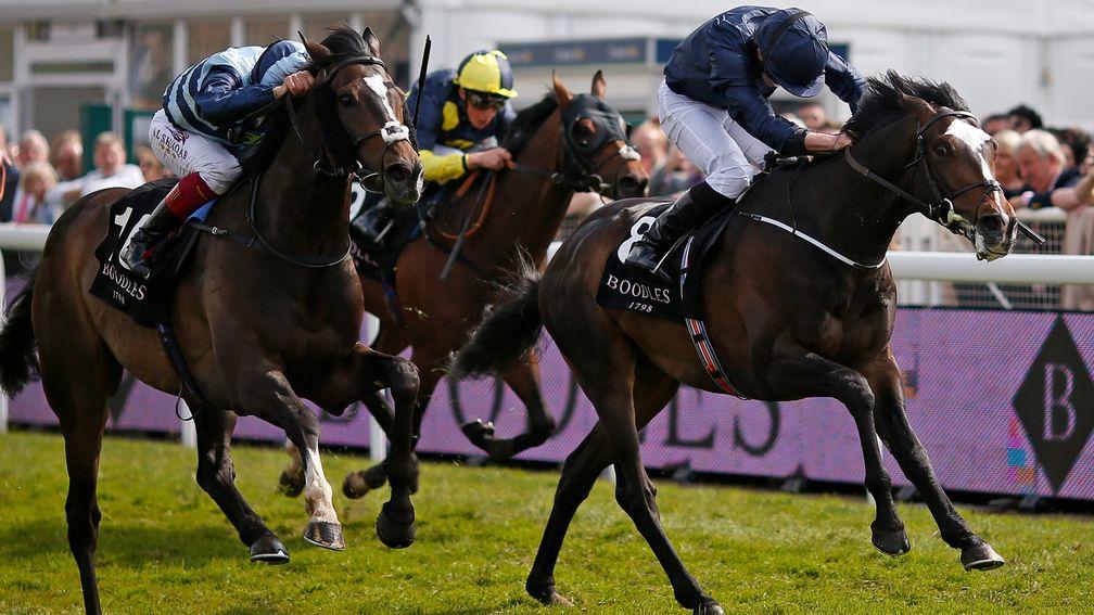 US Army Ranger: pictured finishing second to Western Hymn in the Ormonde Stakes, will run in the Queen Alexandra