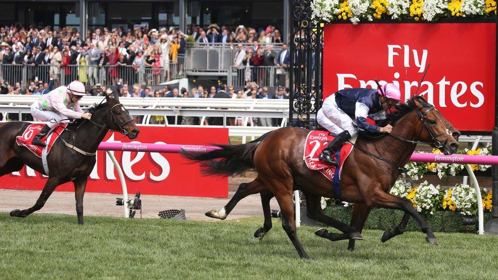 Rekindling: might have started a trend with his Melbourne Cup victory 12 months ago