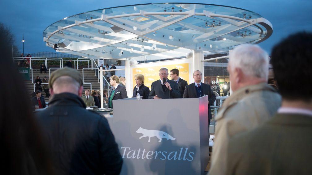 The Tattersalls Cheltenham Festival Sale takes place on the Thursday of the meeting