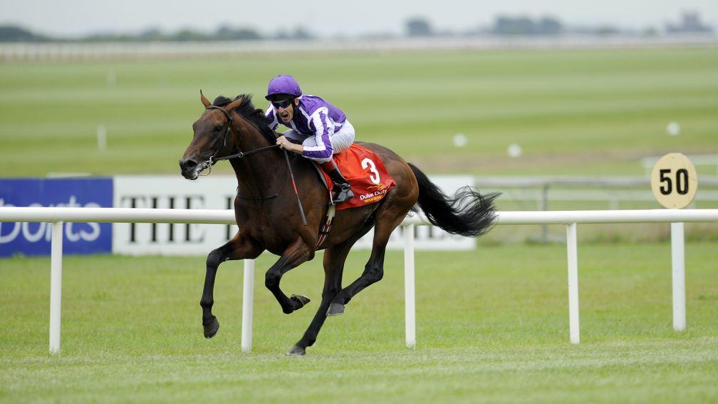 Offspring of the late 2009 Irish Derby winner Fame And Glory starred at Punchestown