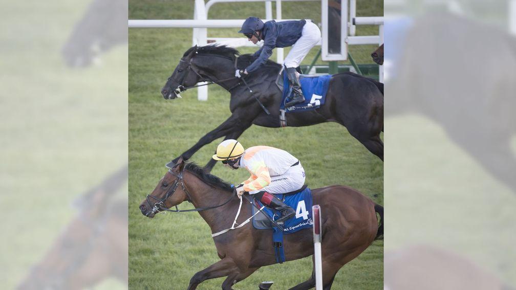 A son of Scat Daddy, Dali (far side) goes down narrowly at the Curragh