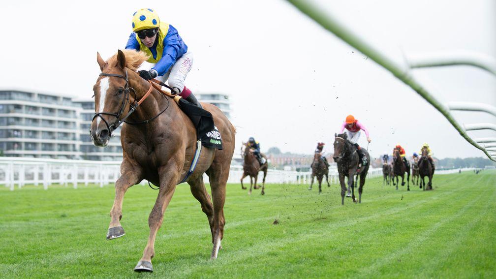 Dream Of Dreams pulls away to win last year's Hungerford at Newbury