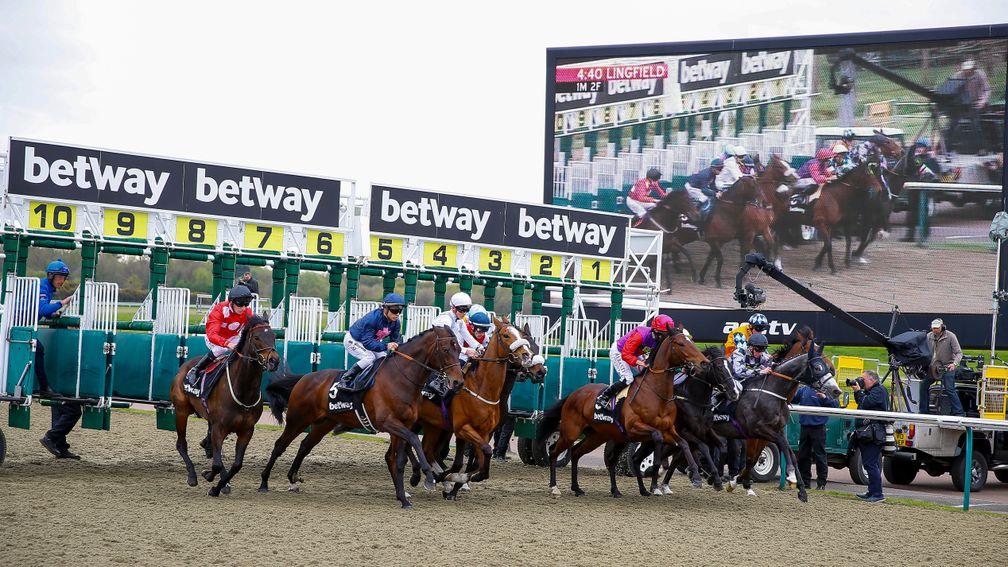 Lingfield: hosts the afternoon all-weather action