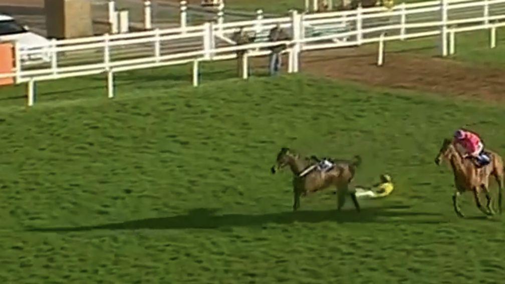 The loose horse hands an easy win to Bajardo, who looked a sure second 75 yards out