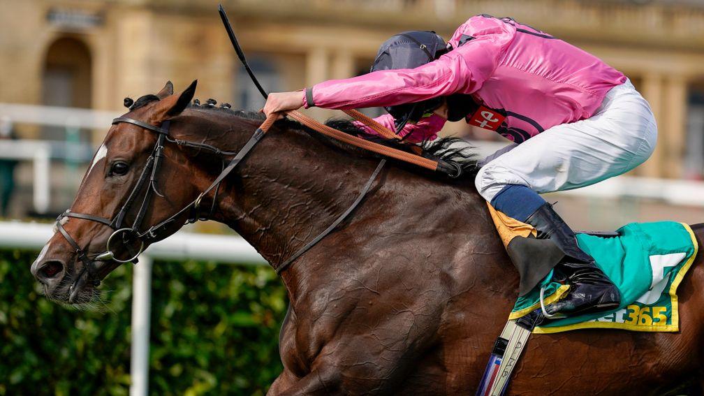 Spanish Mission: holds entries for the Melbourne Cup and Caulfield Cup