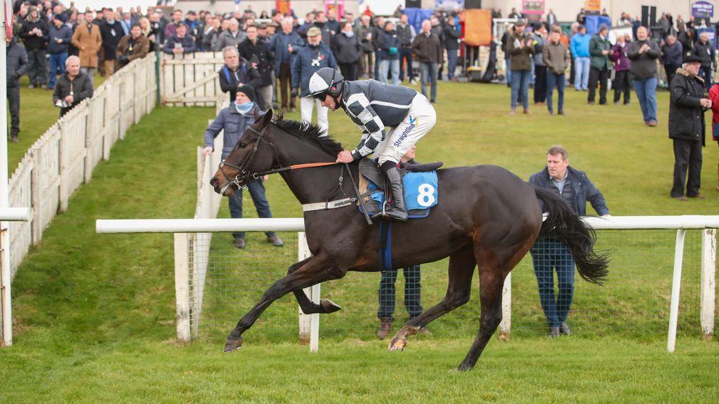 RIBBLE VALLEY (Brian Hughes) wins at HEXHAM  8/11/19 Photograph by Grossick Racing Photography 0771 046 1723