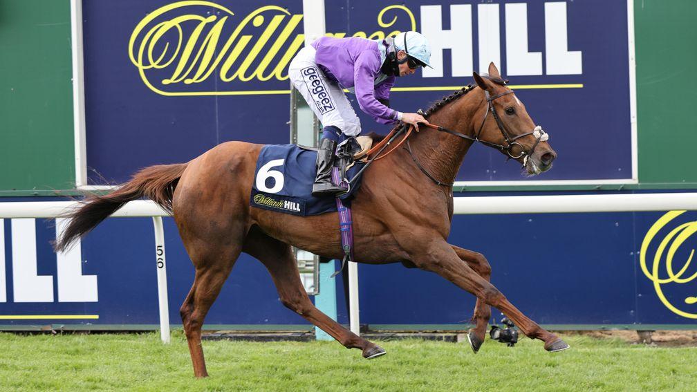 TRIBAL CRAFT and David Probert win the William Hill Bronte Cup (group 3) at York 22/5/21Photograph by Grossick Racing Photography 0771 046 1723